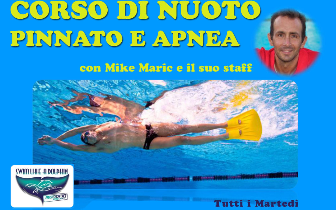 Mike Maric - Management sport